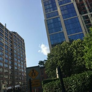 Meet your Posher, Elsa